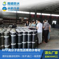 APP高分子改性瀝青防水卷材
