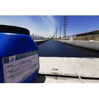 FTY-1橋面防水涂料
